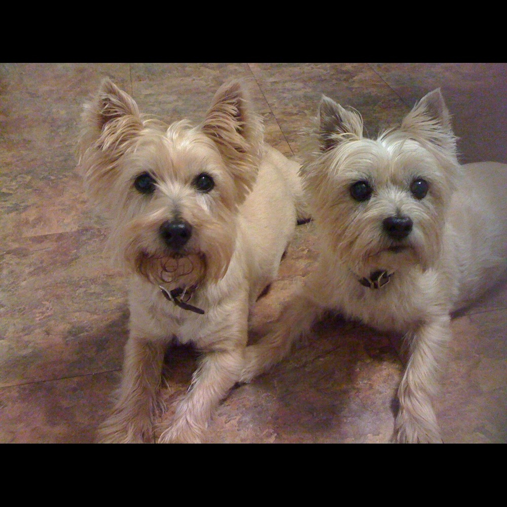 Meet your Posher, Christine